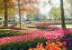 Todo lo que necesitas saber para visitar Keukenhof en 2026