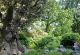 De Efteling: Un Parque Temático de cuento